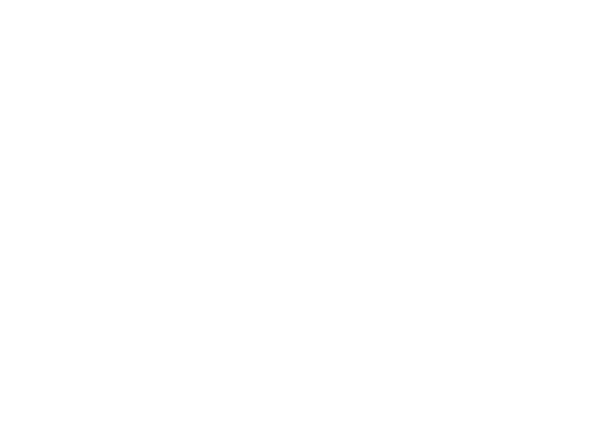 Salem Balhamer Holding